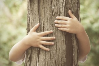 Dětské ruce objímající strom. Silné pouto k přírodě.